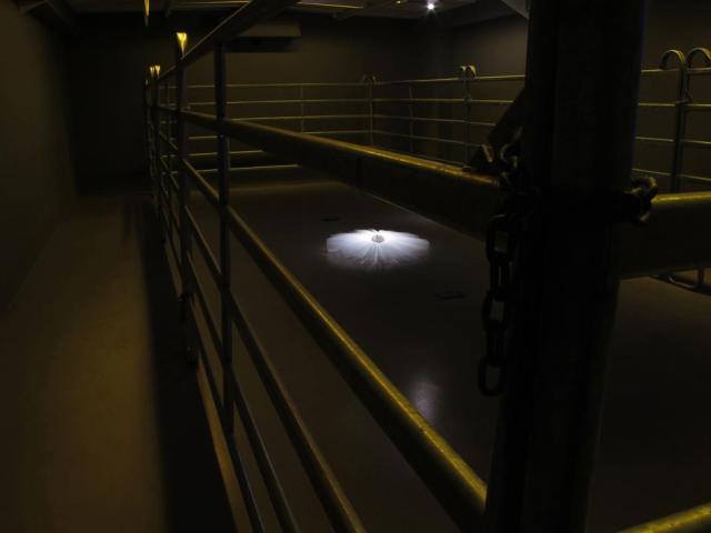 313871_2447184374538_1099788045_2805902_1707944836_n