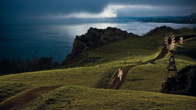 17-molly-bloom-jpg-u5uvyb[1]