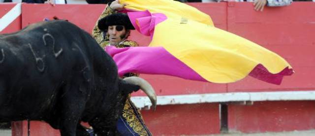 padilla-548011-jpg_375864[1]