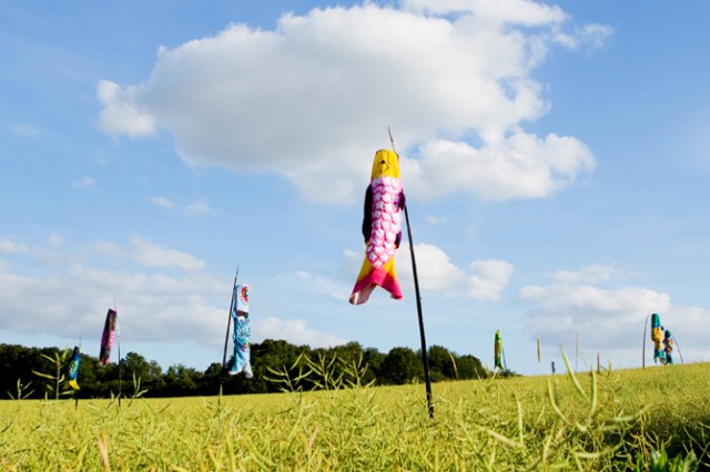 FESTIVAL EXCENTRIQE 2012 Ë NERON ATELIER