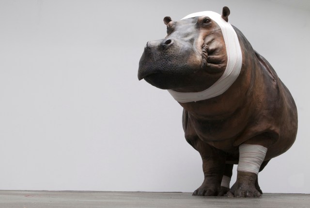 4522_Accident_de_chasse-2012-moulage_resine(c)Pascal_Bernier