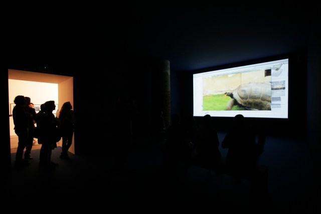 Camille20Henrot_01[1]