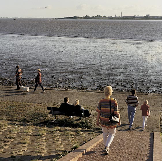 1237921158_extras_albumes_0[1]