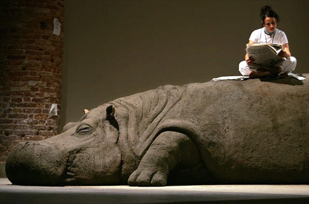 20056109488_5_366782[1]