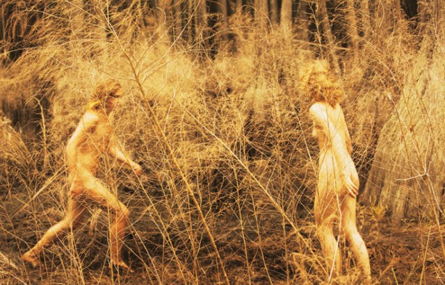 03-photographie-portrait-ryan-mcginley-barren-marsh_1