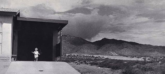 19576_adams-fiche-visite