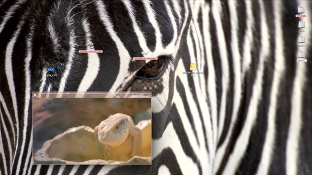 henrot-grossefatigue20_large