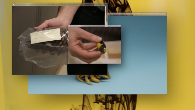 henrot-grossefatigue3_large