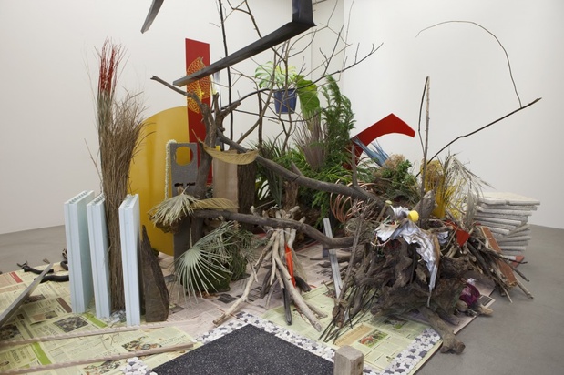 i-11-camille-henrot--fabrice-seixas-z4_medium