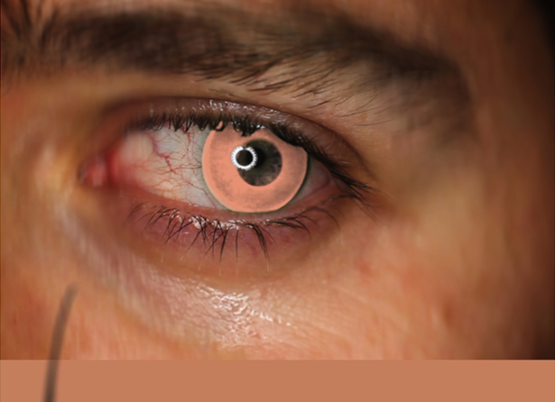 46233_may5_palais_img2