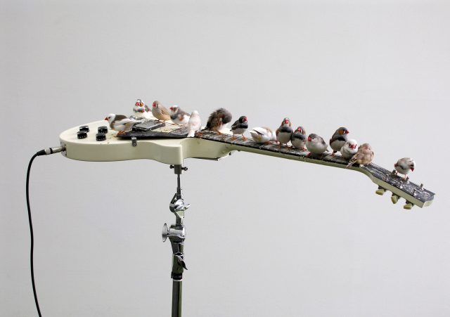 celeste-boursier-mougenot