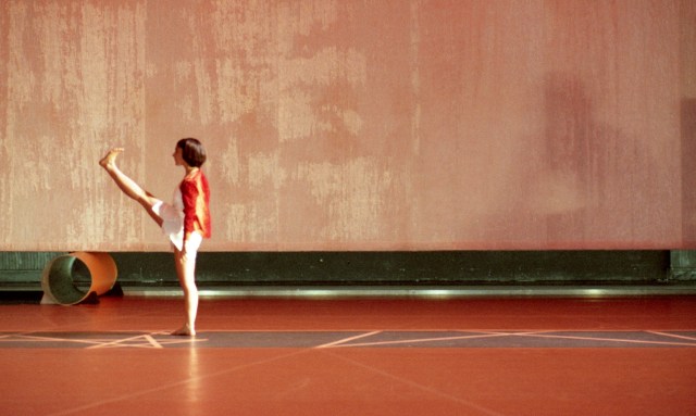 Drumming - fot. Herman Sorgeloos (1)