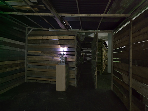 joachim-koester-exhibit-14