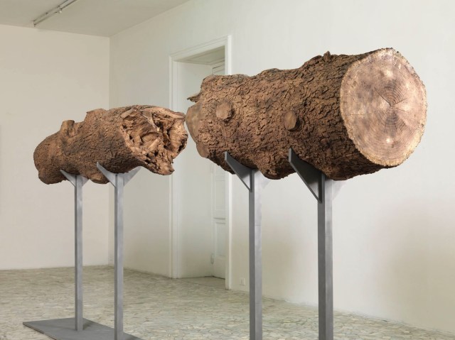 20548B38-E8E1-4EF9-B92465C377DFBDEB