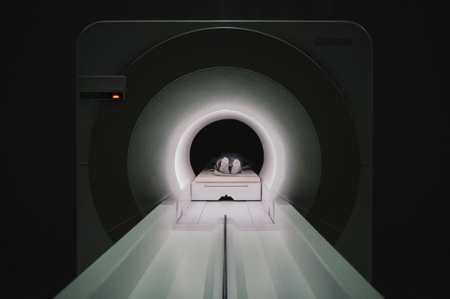 141023_guido_mencari_lausanne_go_down_moses-2552_WEB_2000