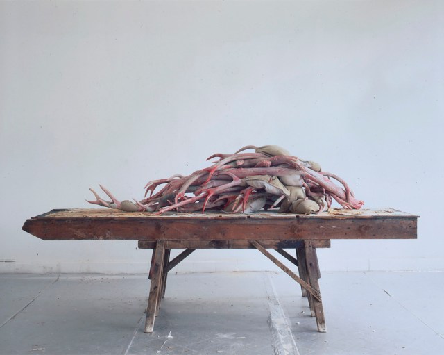 Berlinde-De-Bruyckere_Acteaon-®MirjamDevriendt-1024x818