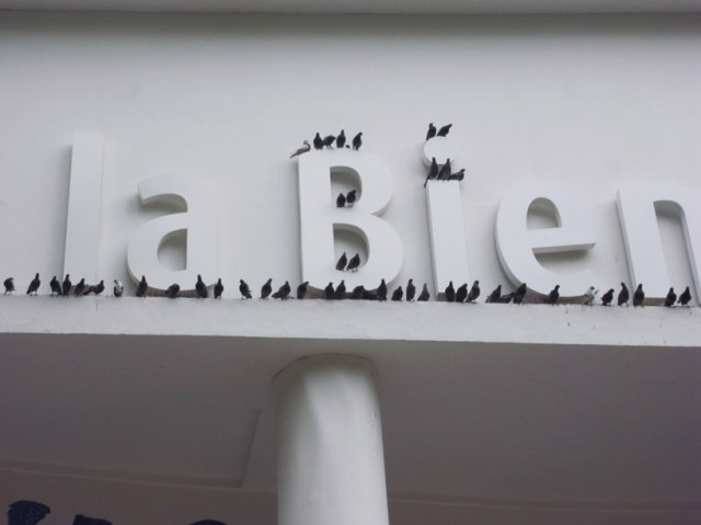 cattelan venise 2013