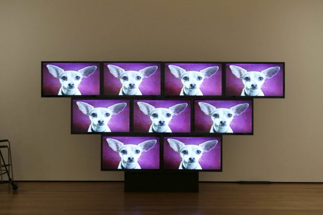 20141114-STURTEVANT-slide-FFWM-jumbo