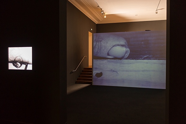 Ausstellungsansicht_061