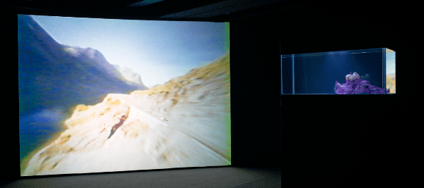 1ab0ef63-ea2c-4396-b258-3ece7266b8a7