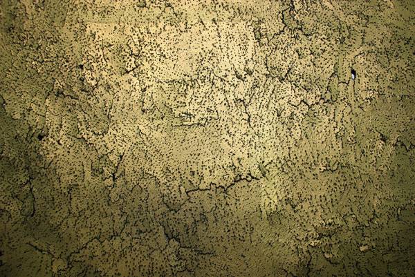 cbenoiton_rdv_glissement-temps-detailld