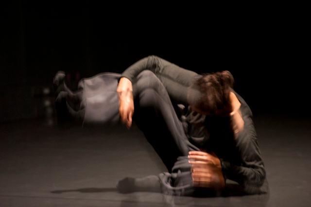 LES OISEAUX de Nacera Belaza