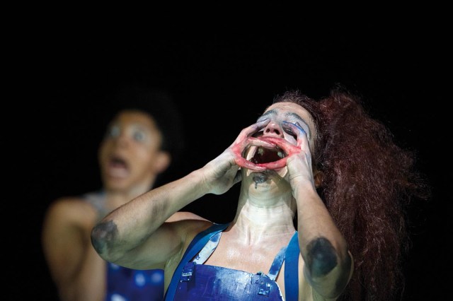 photo pierre-planchenault