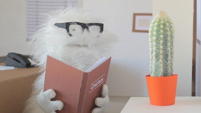 yannvanderme_hello1_2015_hd