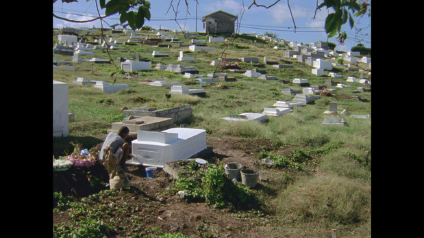 16724Ashes_still_medium