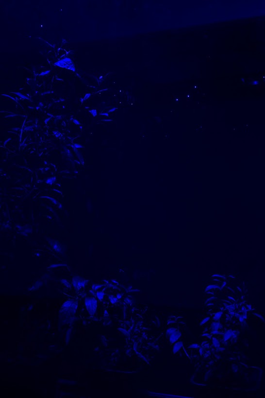 Hicham Berrada_Mesk-ellil_Details©Photo._Fabrice_Seixas(2)