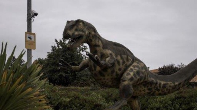 SUTAIRAS_DSC07442-800x449