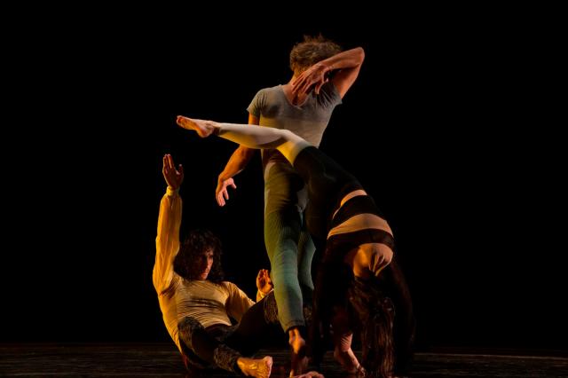 ZOO_THOMASHAUERT_massimiliano_rossetto_201.113024