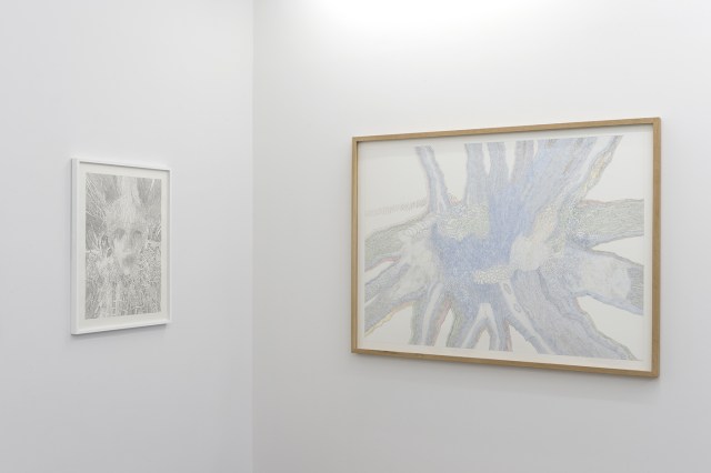 BAGOT CLEMENT_Treixel_exposition personnelle_galerie Eva Hober  Paris_2016_light_4