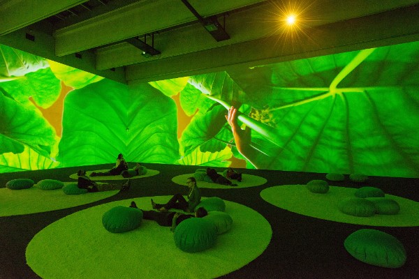 pipilotti rist