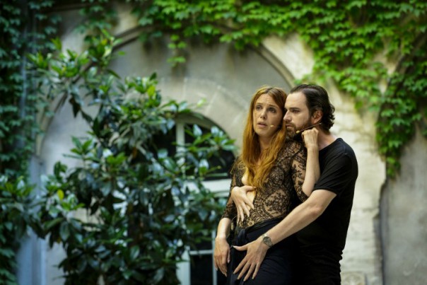 les corvidés avignon