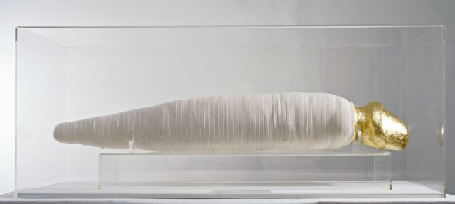 renate-bertlmann_impudicus-body-tamed-by-art_1984-1500x674