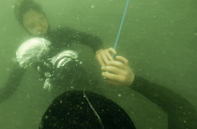 sp02._5c_sarah_anthony